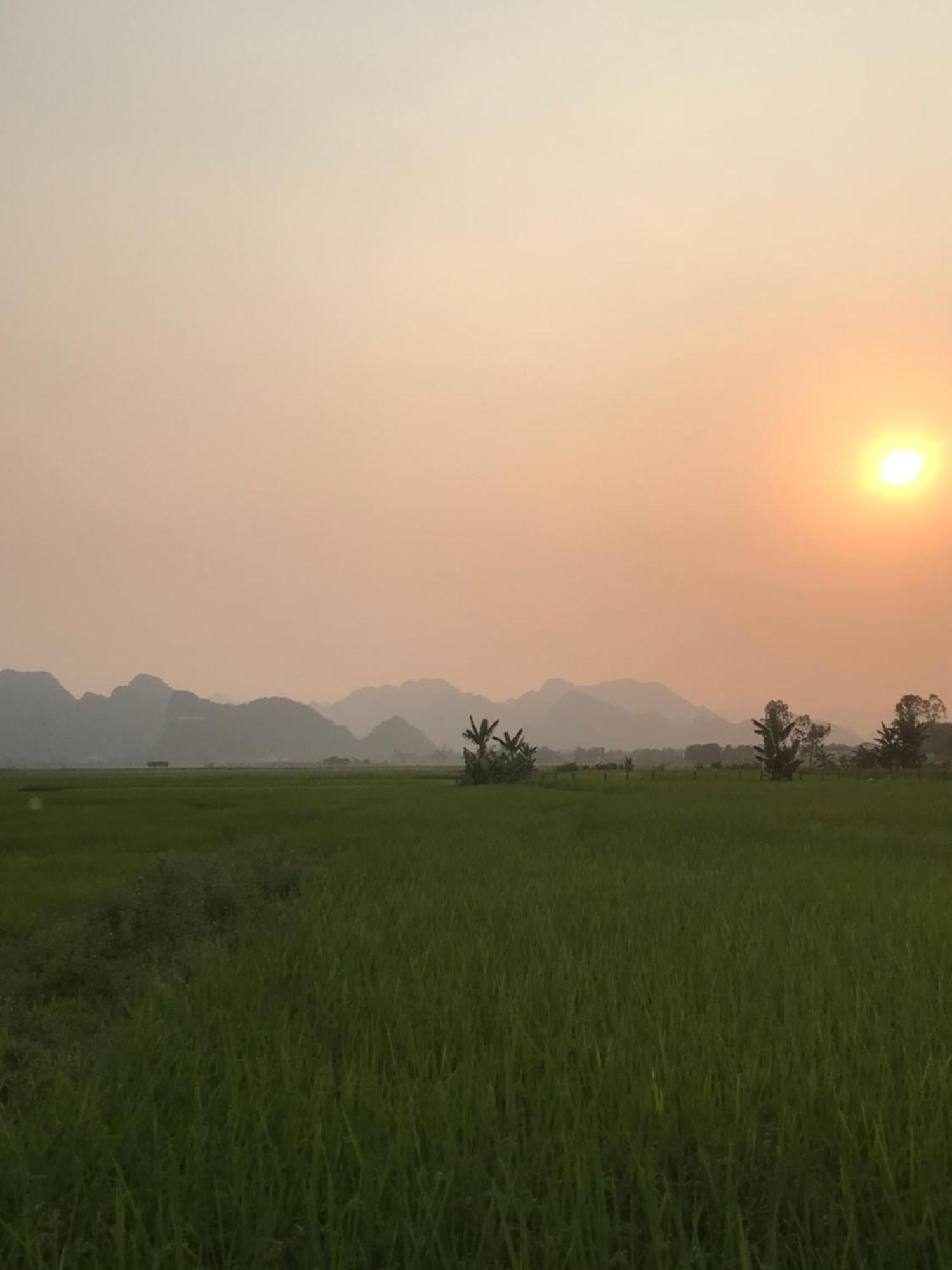 Happy Field Homestay Phong Nha Ngoại thất bức ảnh